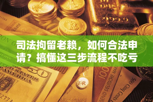 北京司法拘留老赖，如何合法申请？搞懂这三步流程不吃亏！