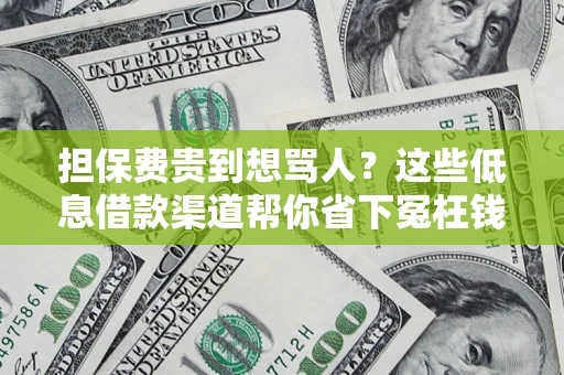 北京担保费贵到想骂人？这些低息借款渠道帮你省下冤枉钱