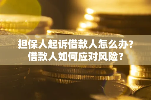 北京担保人起诉借款人怎么办？借款人如何应对风险？