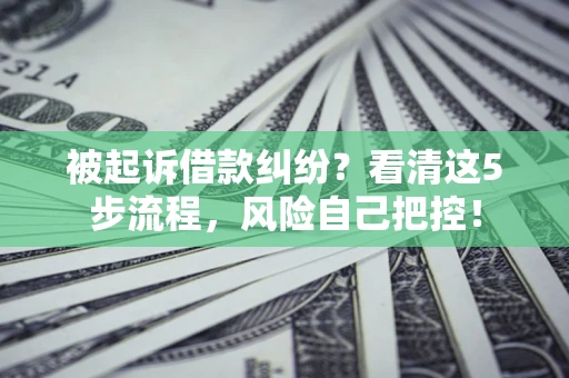 北京被起诉借款纠纷？看清这5步流程，风险自己把控！